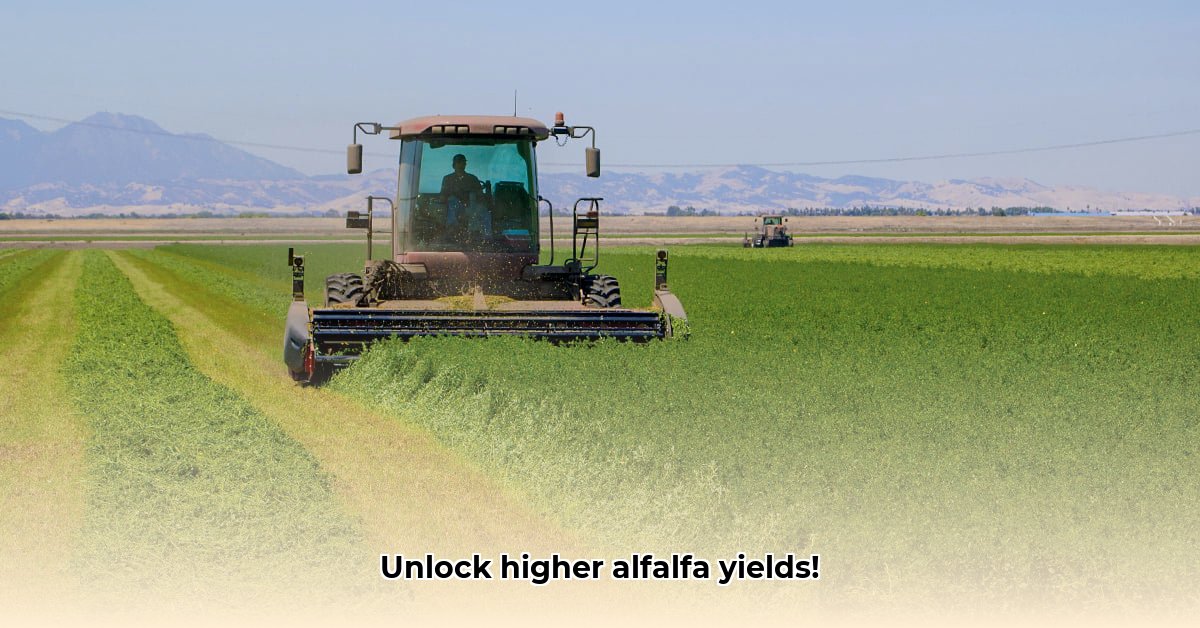 alfalfa-tractor-supply